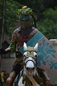 SFaire_2012 (501)